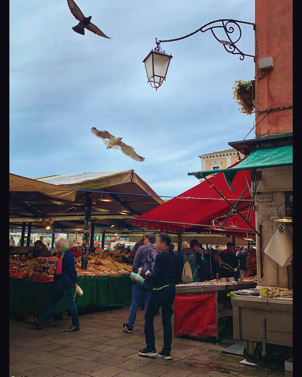 In Venice even grocery shopping is an unique experience ✨ 📍Mercato di Rialto #VeniceLife #vitaveneziana #vivereavenezia #venise #venecia #venedig #venetië #veneza #ונציה #베네치아 #ヴェネツィア #威尼斯 #veneziaperimmagini #veneziadavivere #veneziaautentica #streetphotography