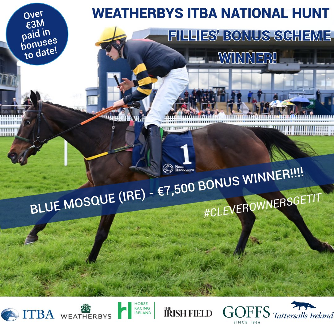 Congratulations to the High Spirits Racing Club when their filly 𝘽𝙇𝙐𝙀 𝙈𝙊𝙎𝙌𝙐𝙀 won the bumper at Naas yesterday & also took home a whopping €7,500 bonus as she was entered in our 𝙉𝘼𝙏𝙄𝙊𝙉𝘼𝙇 𝙃𝙐𝙉𝙏 𝙁𝙄𝙇𝙇𝙄𝙀𝙎 𝘽𝙊𝙉𝙐𝙎 𝙎𝘾𝙃𝙀𝙈𝙀! #cleverownersgetit #itba