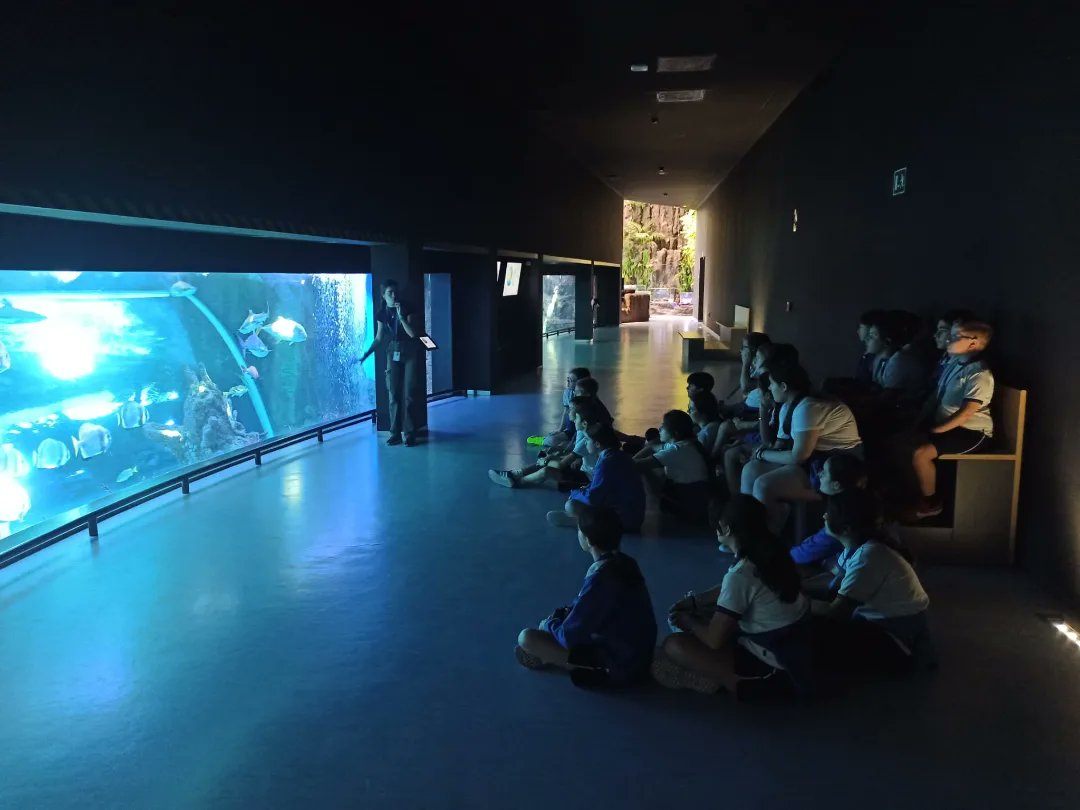 ciamariapuente's tweet photo. Hoy los #alumnos y #alumnas de 6° de #EducaciónPrimaria han realizado una #excursión al #ParquedelasCiencias de #Granada, donde han visitado el #Biodomo y el #Planetario.
#creAcción #excursionesescolares @ciamariapuente https://t.co/iQ0tkZHkhd