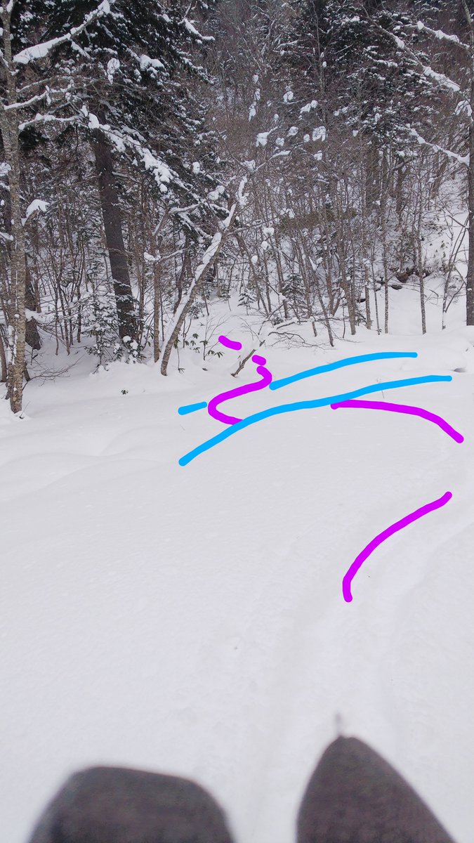 gy_yuri's tweet photo. 雪解け水が流れる沢
春の陽射し
冬ルートはもうおしまい https://t.co/JfQHTCPypw