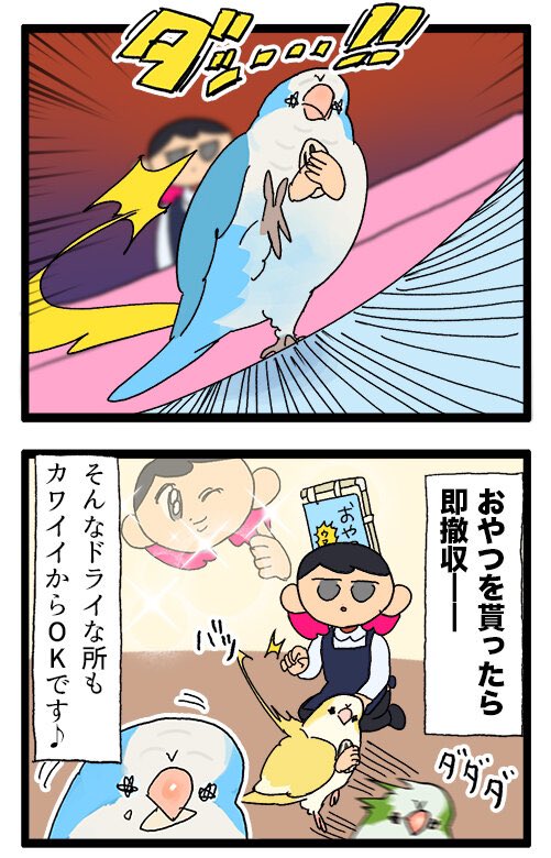 お店にいるオキナインコ、おやつを凄い勢いで奪い取って走り去ってゆく🦜💨
1097 #えるポピの絵日記かくところあ