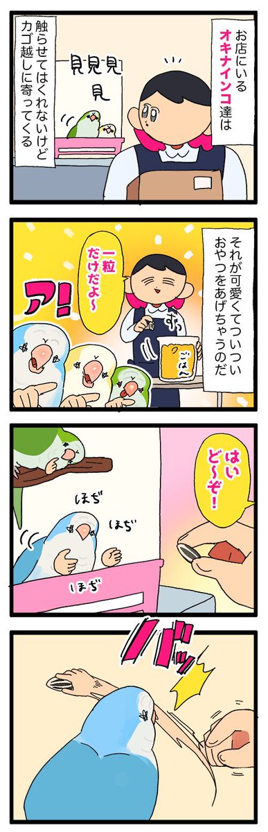 お店にいるオキナインコ、おやつを凄い勢いで奪い取って走り去ってゆく🦜💨
1097 #えるポピの絵日記かくところあ
