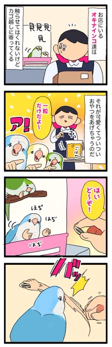 お店にいるオキナインコ、おやつを凄い勢いで奪い取って走り去ってゆく🦜💨

1097 #えるポピの絵日記かくところあ 