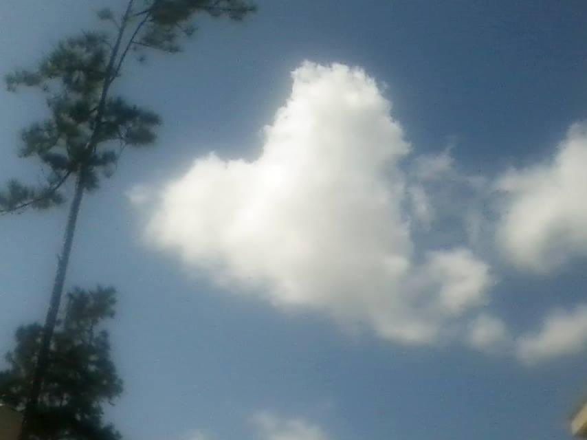 #love to all.  #Texas #thewoodlands #Houston #clouds #heart #Blueskies #puffy #trees #nature #naturalbeauty #outdoors #sunny #afternoon