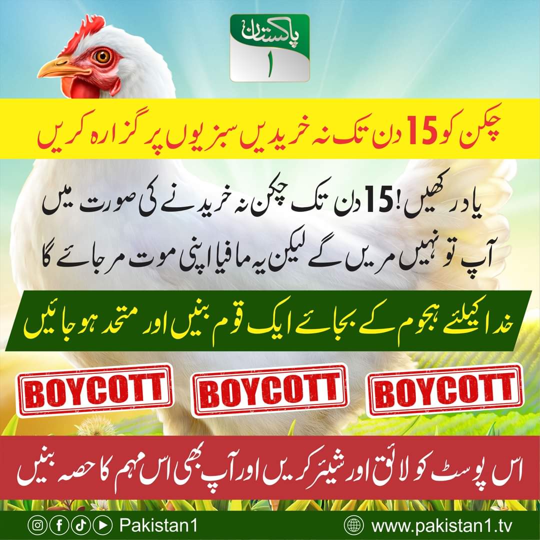 𝙃𝙖𝙞𝙢𝙖 𝘼𝙣𝙞🇵🇰 tweet media