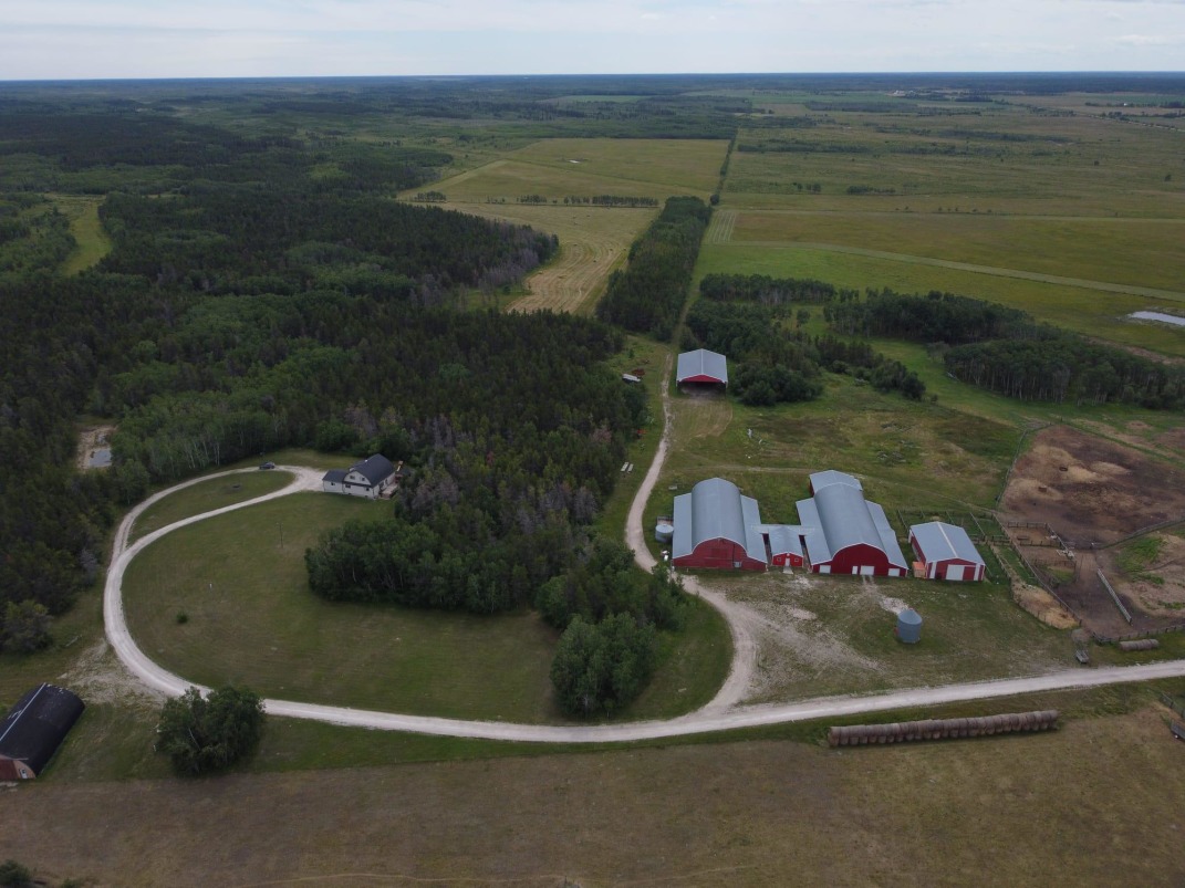 *GREAT FAMILY OPERATION* BEEF FARM FOR SALE!
farmmarketer.com/listing/fm/168…

Farm Type: Beef/cattle
Acreage (Total): 949 
Province: Manitoba
Agent: Cliff Martens

#Findyourdreamproperty #farmmarketer #cdnbeef #cattlefarming #cattle #proudlycanadian #canadianbeef #farm365 #agproud