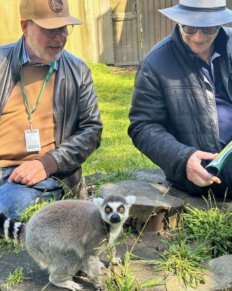 M. Tilson Thomas tweet media