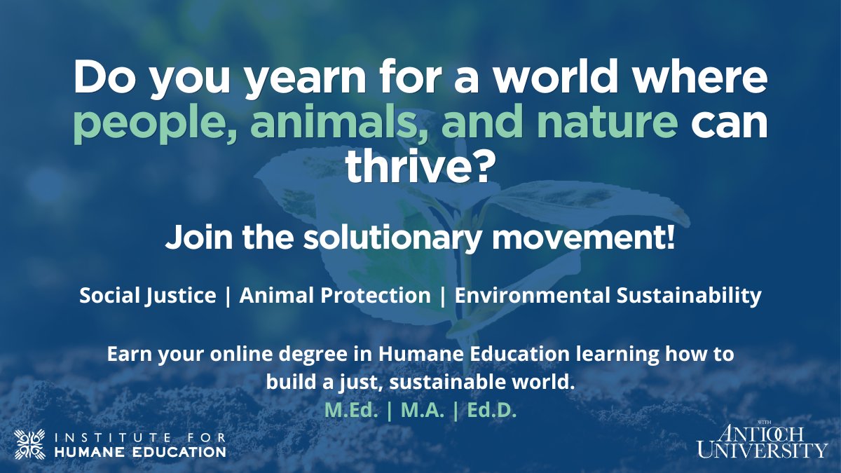 Earn your #HumaneEducation graduate degree online from anywhere in the world! Humane Education is an action-oriented field of study that draws connections between #humanrights, #animalprotection & #environmentalsustainability. Apply by April 30, 2024: humaneeducation.org/graduate-progr…