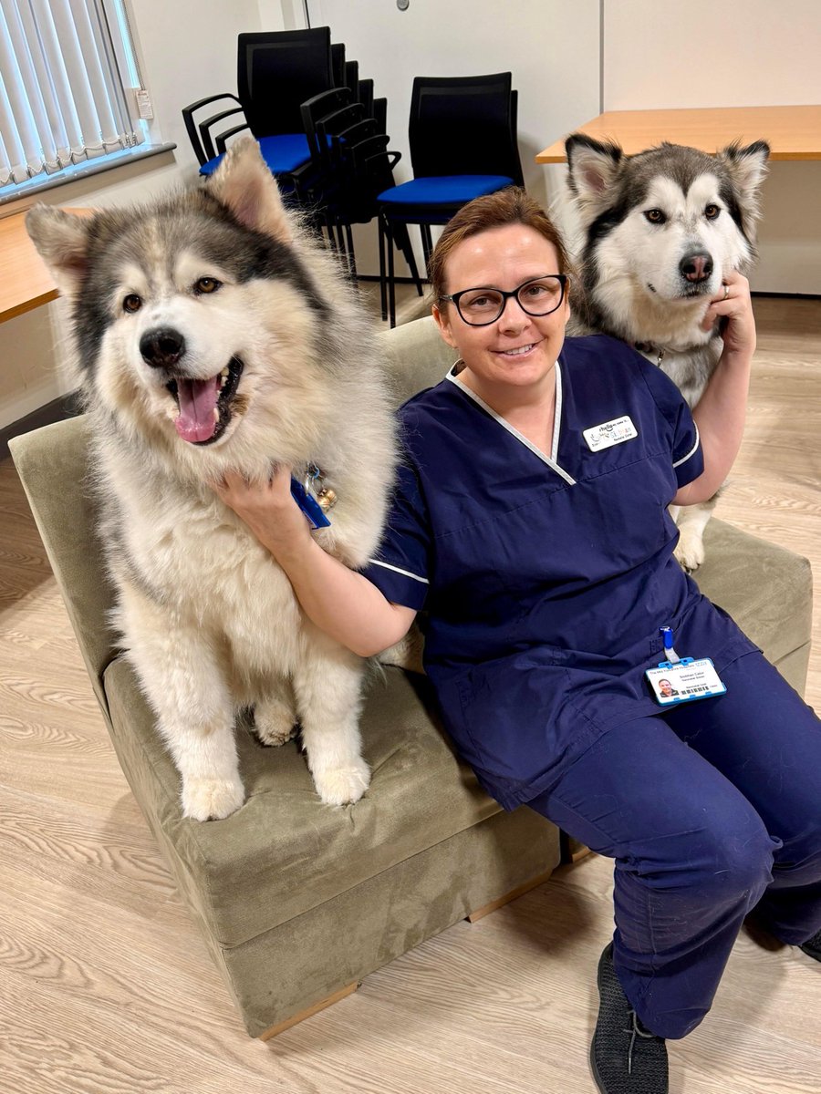 🐾Thunder and Autumn Cuddles🐾 Thunder and Autumn brought joy with plenty of cuddles during their visit to the Children's Practice Educators/Nutrition Team at Pinderfields Hospital🥰 Thanks to Adrian, Thunder and Autumn for their incredible dedication to enhancing well-being💙