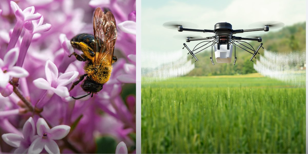 LATE BREAKING ACTION! Urge @TheNHSenate to oppose HB-1698, which would allow aerial spraying of #pesticides up to 20 ft without notifying the public, threatening #pollinators & #NH #families! Hearing TOMORROW April 18 @ 1:20 PM. @nhsenatedems @NHSenateGOP ow.ly/orEV50Ri42f