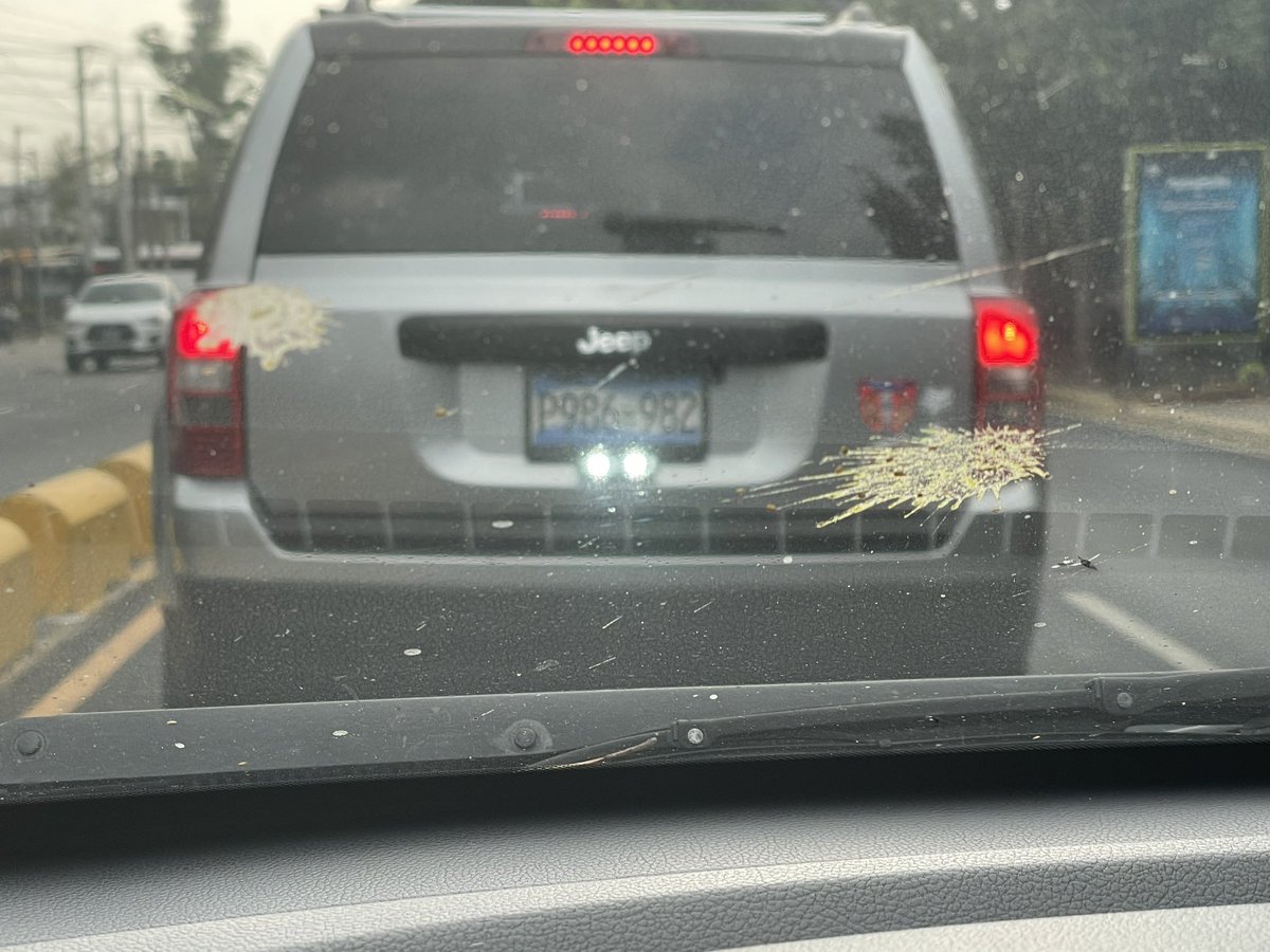 aleboy16's tweet photo. Pregunto @VMTElSalvador @PNCSV  es legal tener luces de ese tipo en la parte trasera que dificulten la claridad de la placa? Digo ahorita es de día pero de noche no se vería https://t.co/p2BpxwuwcO
