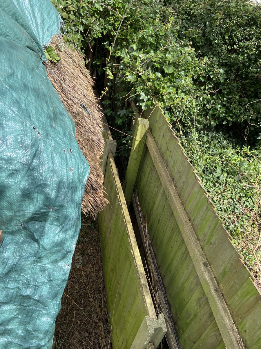 When you find out the neighbours fence is higher than the clients fence & the thatch eave,which makes setting up scaffolding on that side a bit awkward. Also first removing the ‘jungle’ is a job in itself. #Thatching.