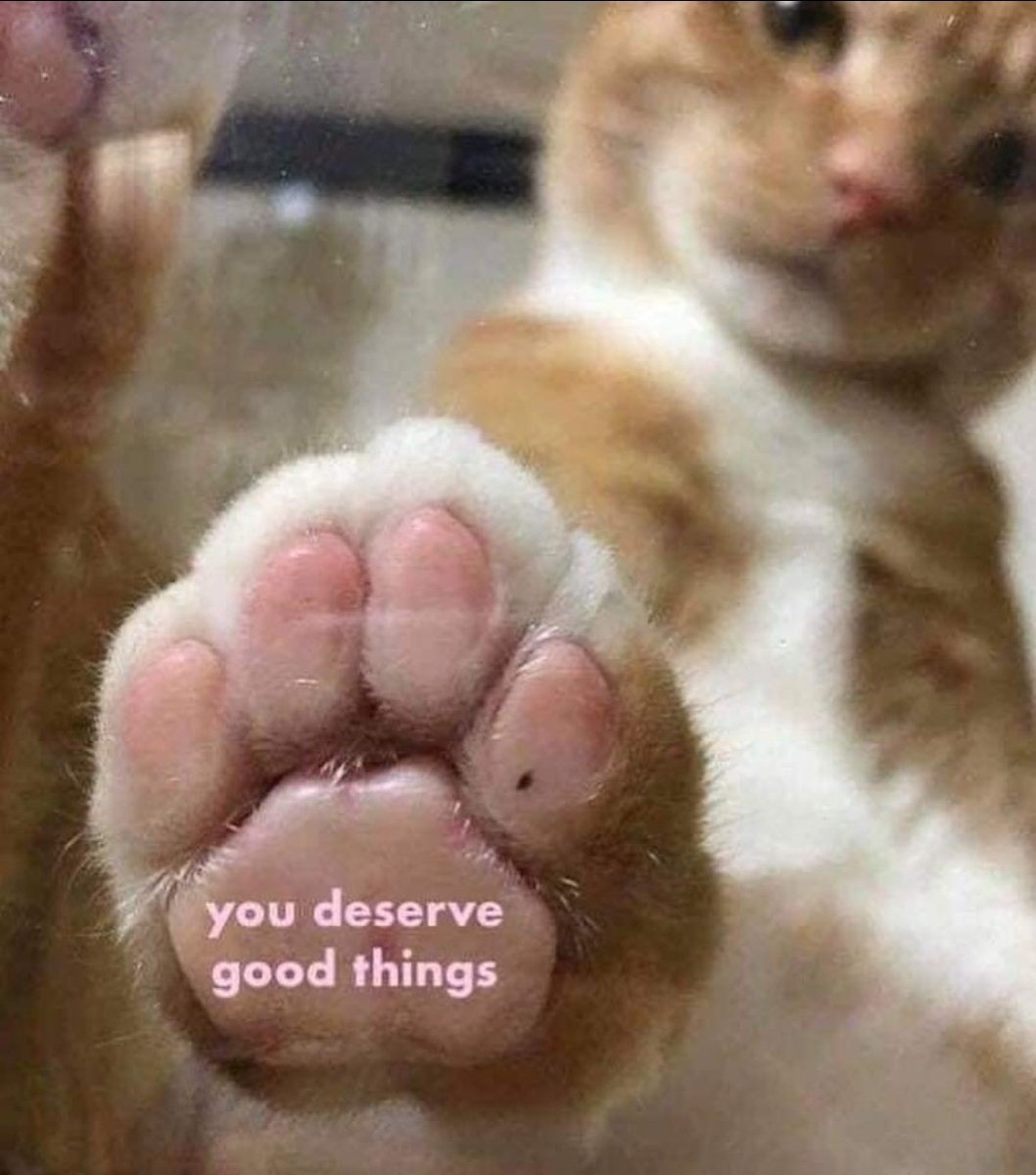Catsillyness's tweet photo. https://t.co/H5zaNYq1mv