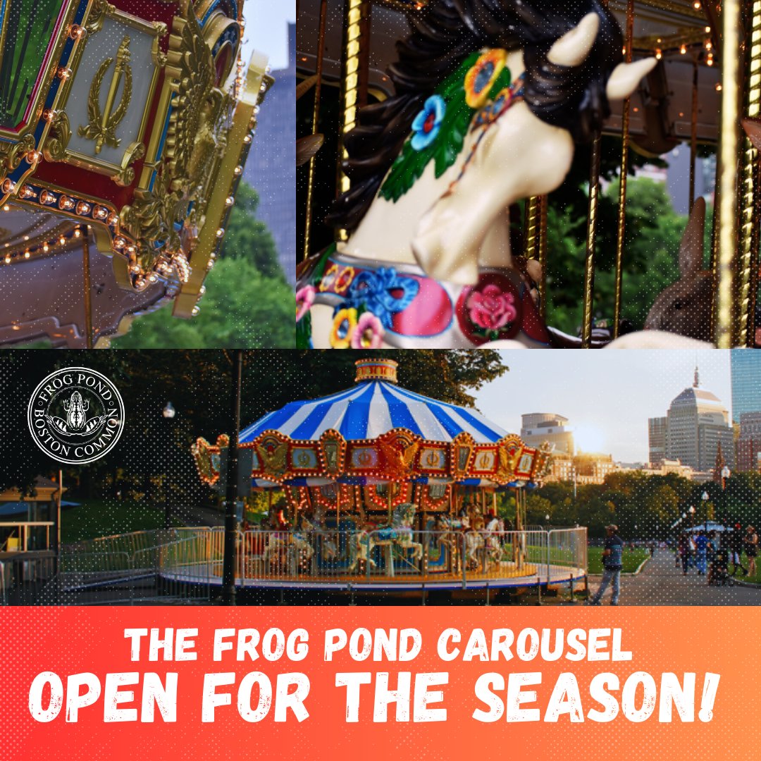 The Boston Common Frog Pond tweet media