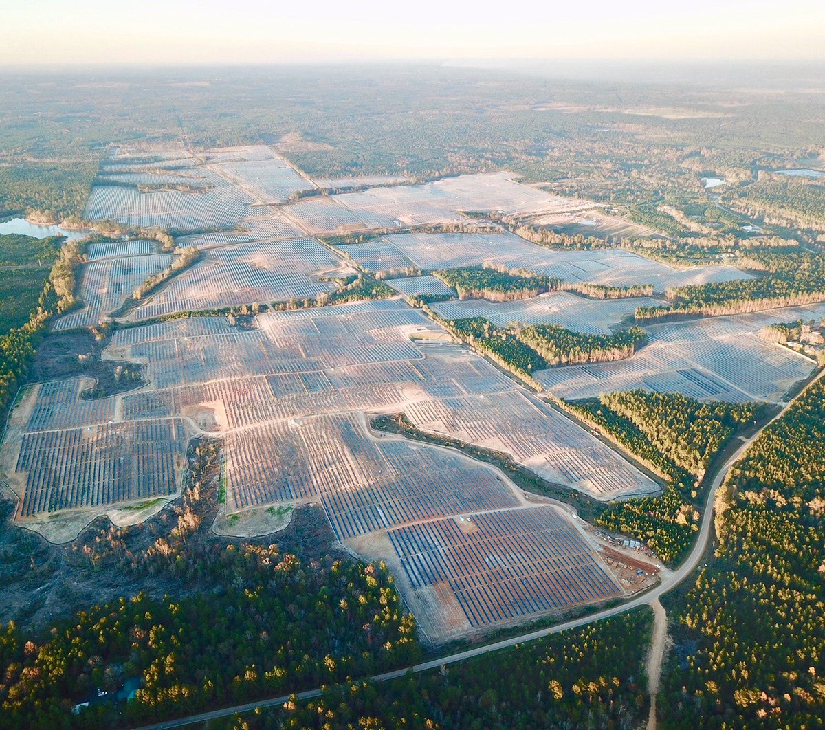 The Last Farm tweet media