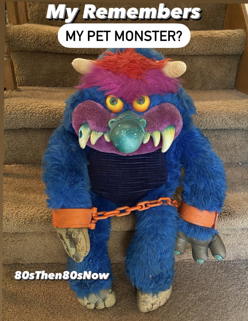 He’s Not Just a Monster, He’s Also Your Friend! 

#mypetmonster #childhoodmemories #childhoodunplugged #1980s #80s