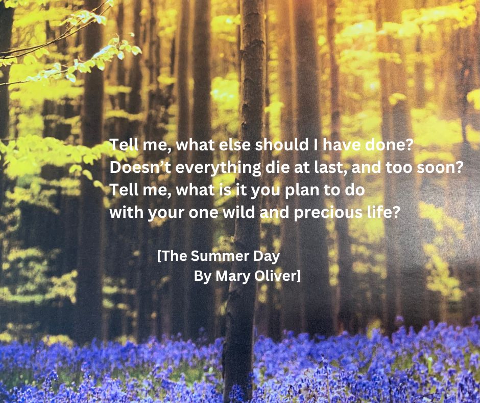 While the last few days have felt a little like summer, spring is the season of rebirth. It feels like the perfect time to take stock of present and future plans, and to try to experience each present moment as it happens. #NationalPoetryMonth Day 17.