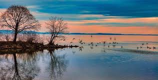 Congrats to Senators @RichardStuartVA & @JeremyMcPike on your appointment to the Chesapeake Bay Commission! @chesapeakebay is excited to work with you both to clean our waters and protect this national treasure for generations to come. The environment thanks you for serving!