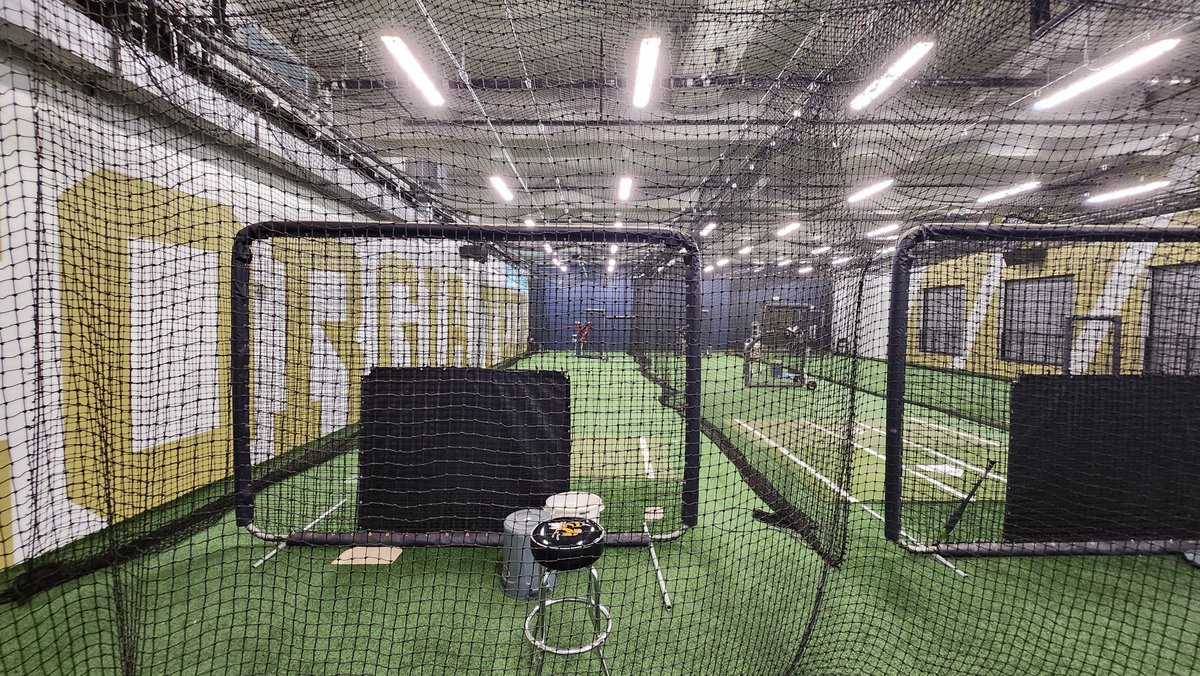 Paul McArdle tweet media