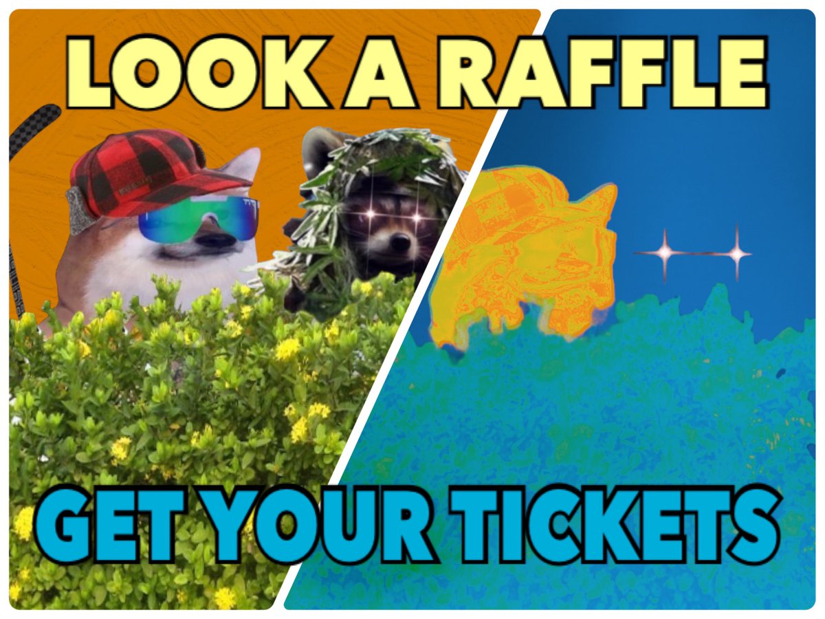 Please take a look at this raffle and if possible buy your tickets from Teresa!