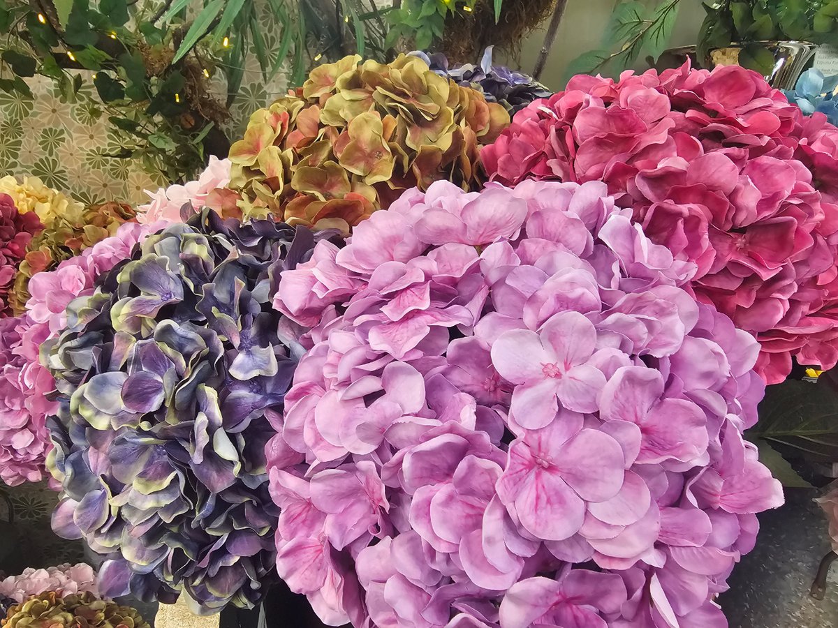 WoodbankGarden's tweet image. 😀Hydrangea (silk) Special Offer 😀

Visit our florist department for these wonderful Hydrangea silk flowers 

Special offer price while stocks last £9.99 each 

#hydrangea #silk #silkflowers #houseplants
