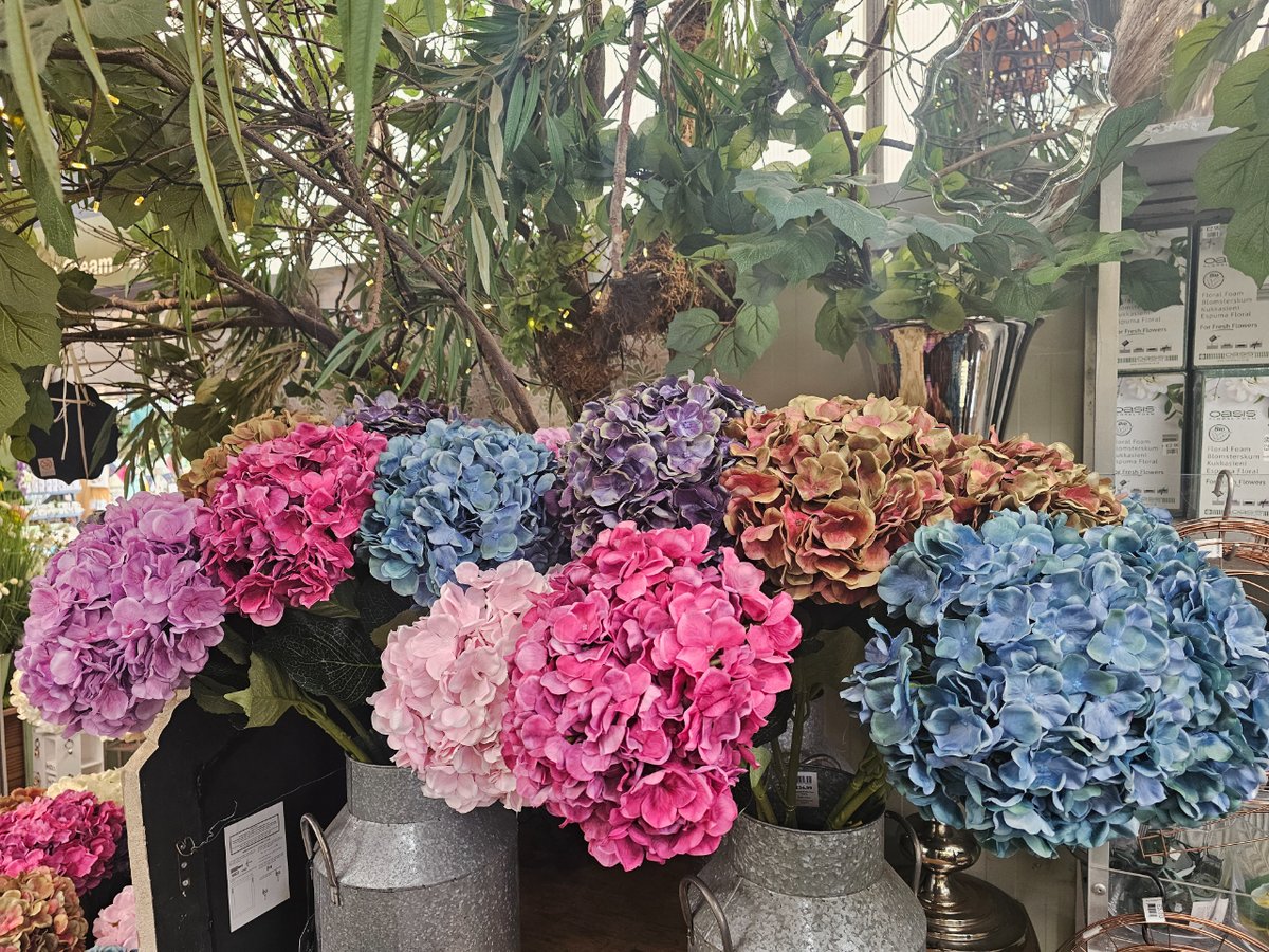 WoodbankGarden's tweet image. 😀Hydrangea (silk) Special Offer 😀

Visit our florist department for these wonderful Hydrangea silk flowers 

Special offer price while stocks last £9.99 each 

#hydrangea #silk #silkflowers #houseplants