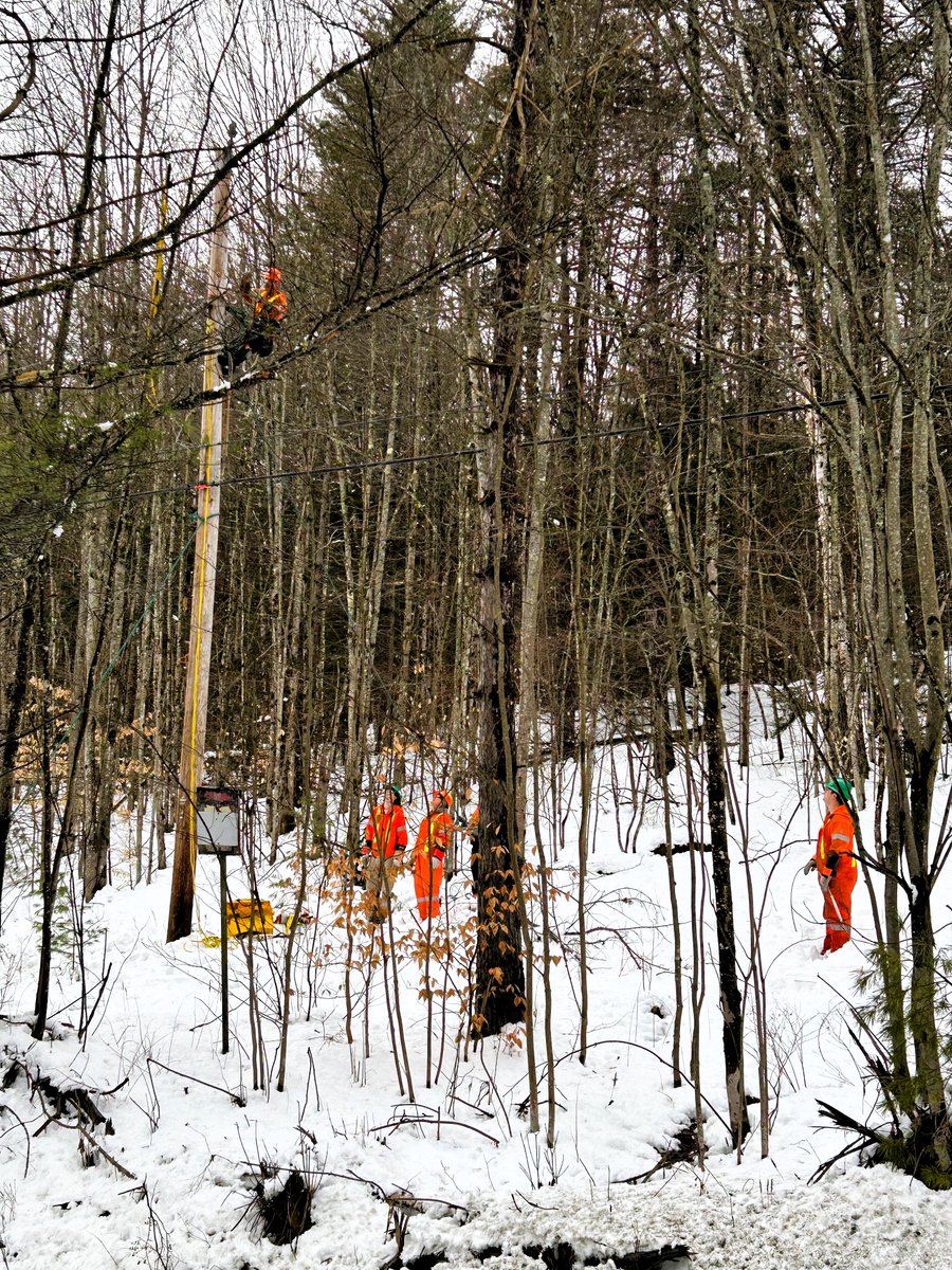 Holland Power Services tweet media