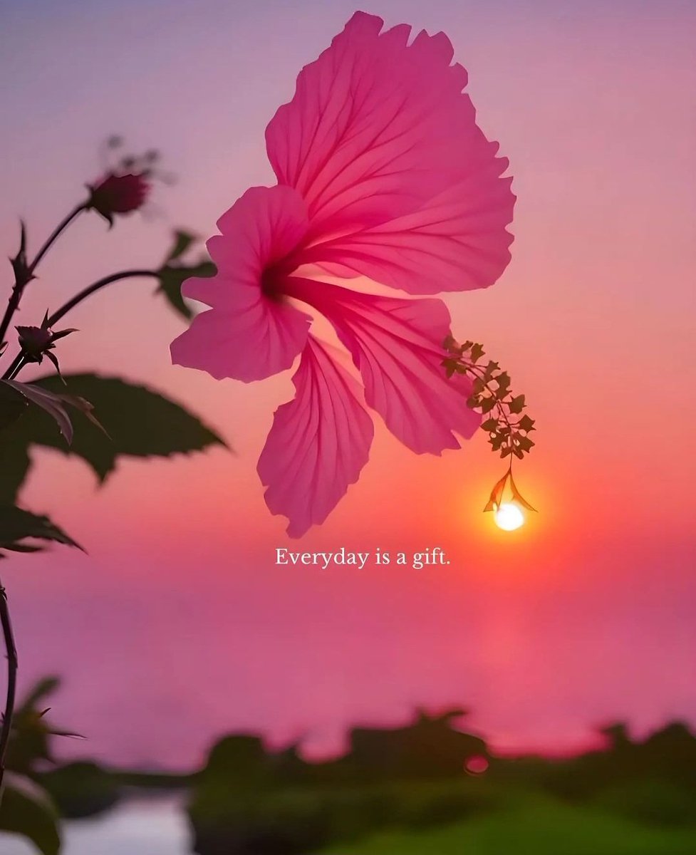 Life is a gift. Wake up every day and realize that