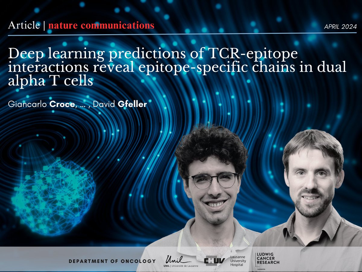 💡NEW study by @GiancarloCroce8 , @GfellerD et al., in @NatureComms 
🤖 AI: a powerful ally to understand the immune sytem!
 @GfellerLab developed #MixTCRpred, a deep-learning tool that analyzes big datasets of TCRs.
➡️shorturl.at/fijvZ
@Ludwig_Cancer @unil  @CHUVLausanne