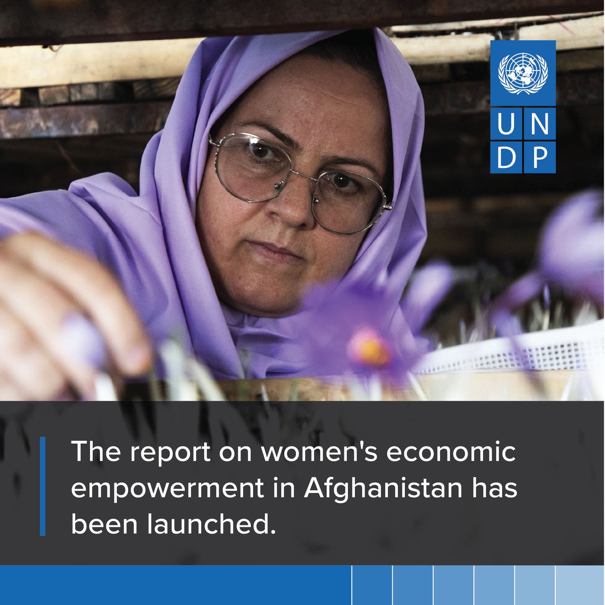 Listening to Women-led entrepreneurs in Afghanistan - The report on women's economic entrepreneurs in Afghanistan is now available! Discover how the women-for-women approach is making a difference. Check out the report here: go.undp.org/ZkD