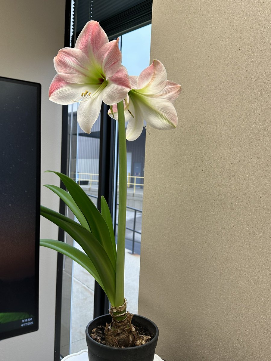 BooChata's tweet photo. Live from work! @b4trendz https://t.co/cm509jYZRw