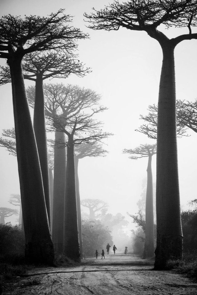 🎶 Yann Tiersen Naval youtu.be/m4kRciR7Eo4?si… . Peace is not something you wish for; It’s something you make, something you do, something you are, and something you give away 🍃John Lennon . Chile 1939 ©️John Swope