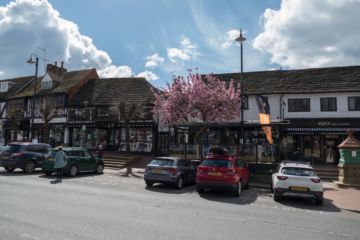 Lovely Blossom still out in East Grinstead this morning!