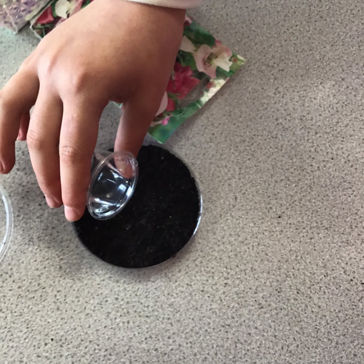 MrsJonesJ7's tweet photo. Busy creating a Science Investigation- What effects the growing of seeds #sunlight #water #oxygen #fairtest #constants #variables 🌱 https://t.co/GNx1QyMpEn