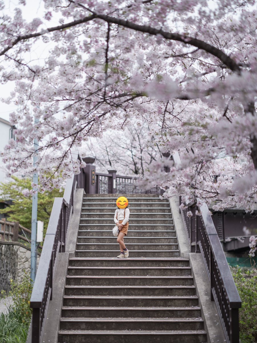 renjun__ori8's tweet photo. 愛しの末っ子は小学生になりましてん♡
満開の桜、そして謎のオバポーズw
将来はアイドルになるそうです🥺
長女(17)がそれを反対する理由は
「心配だからやめてほしい」
どんだけ妹好きなん。笑 https://t.co/ip3xRGiibK
