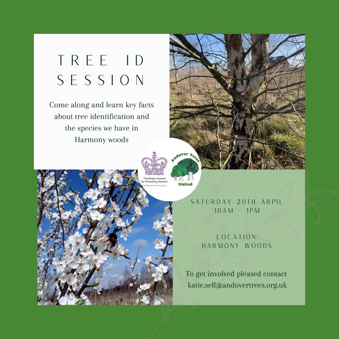 THIS SATURDAY! Come and join in with our first session of the year! We will be looking at all things trees. Sign up NOW! Visit our website for details, andovertrees.org.uk/events-list/20… #citizenscience #treeID #HarmonyWoods