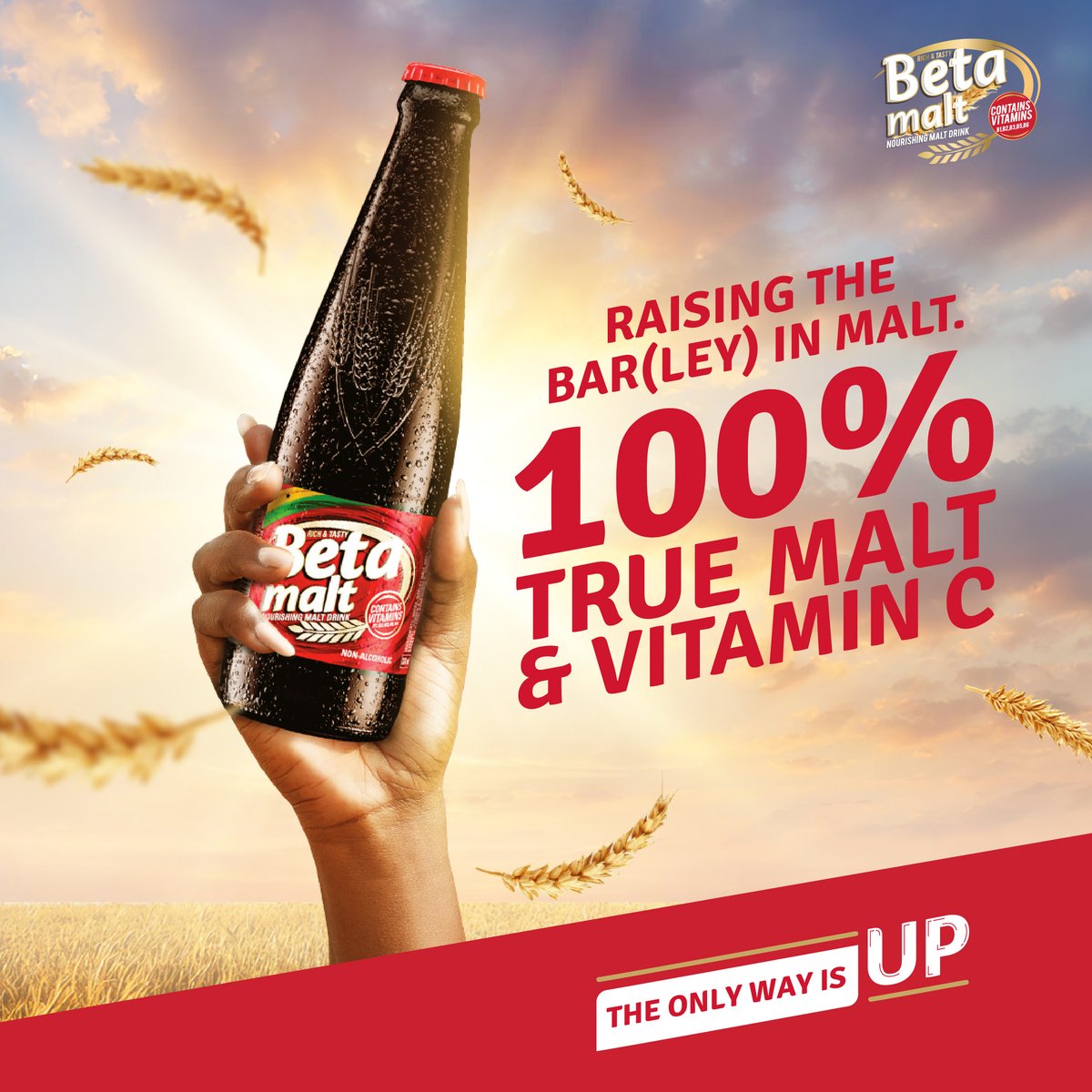 We are setting the standard in the world of malt! Elevate your taste experience with our 100% true malt blend, enriched with Vitamin C for that extra goodness.

#Betamalt #discoverrichness #100percentTrueMalt
