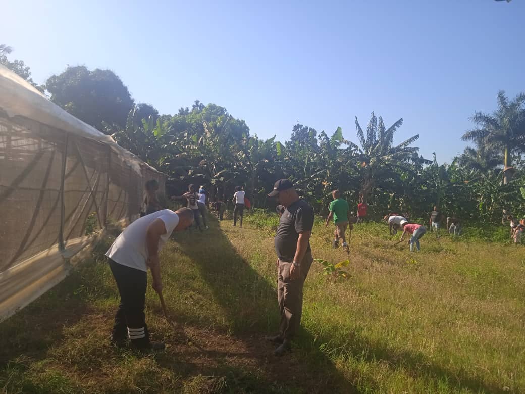 yeilendc's tweet photo. En 📷 trabajo voluntario en la cooperativa Juan Bruno Zayas, del consejo popular de Armada, circunscripción 71, en saludo al 1ro de Mayo.

#amppcerro #LaHabanaDeTodos #habana #PoderPopular  #GenteQueSuma  #Delegados https://t.co/FkR5VMVwrN