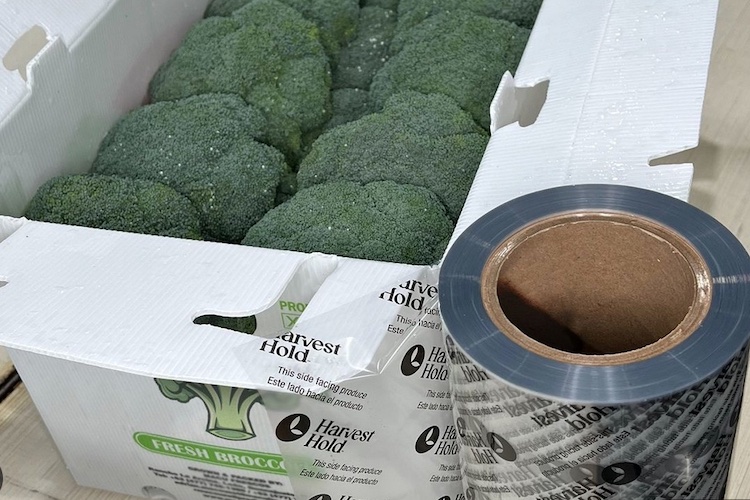 HarvestHold Fresh has been approved by the Pest Management Regulatory Agency for use in Canada. Verdant Technologies says the post-harvest solution can be used on broccoli, tomatoes, peaches and other fruits and veggies. #newtechnology thegrower.org/news/harvestho…