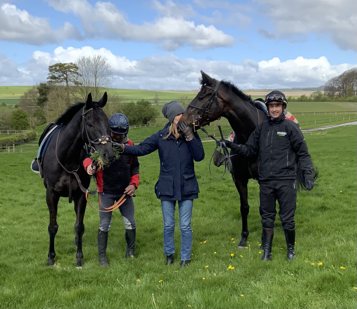 I had the very best of mornings yesterday at Seven Barrows catching up with my all time favourite Bhaloo 🐻and our very beautiful young filly Owl 🦉. Gorgeous day for it too! Thank you guys @sevenbarrows