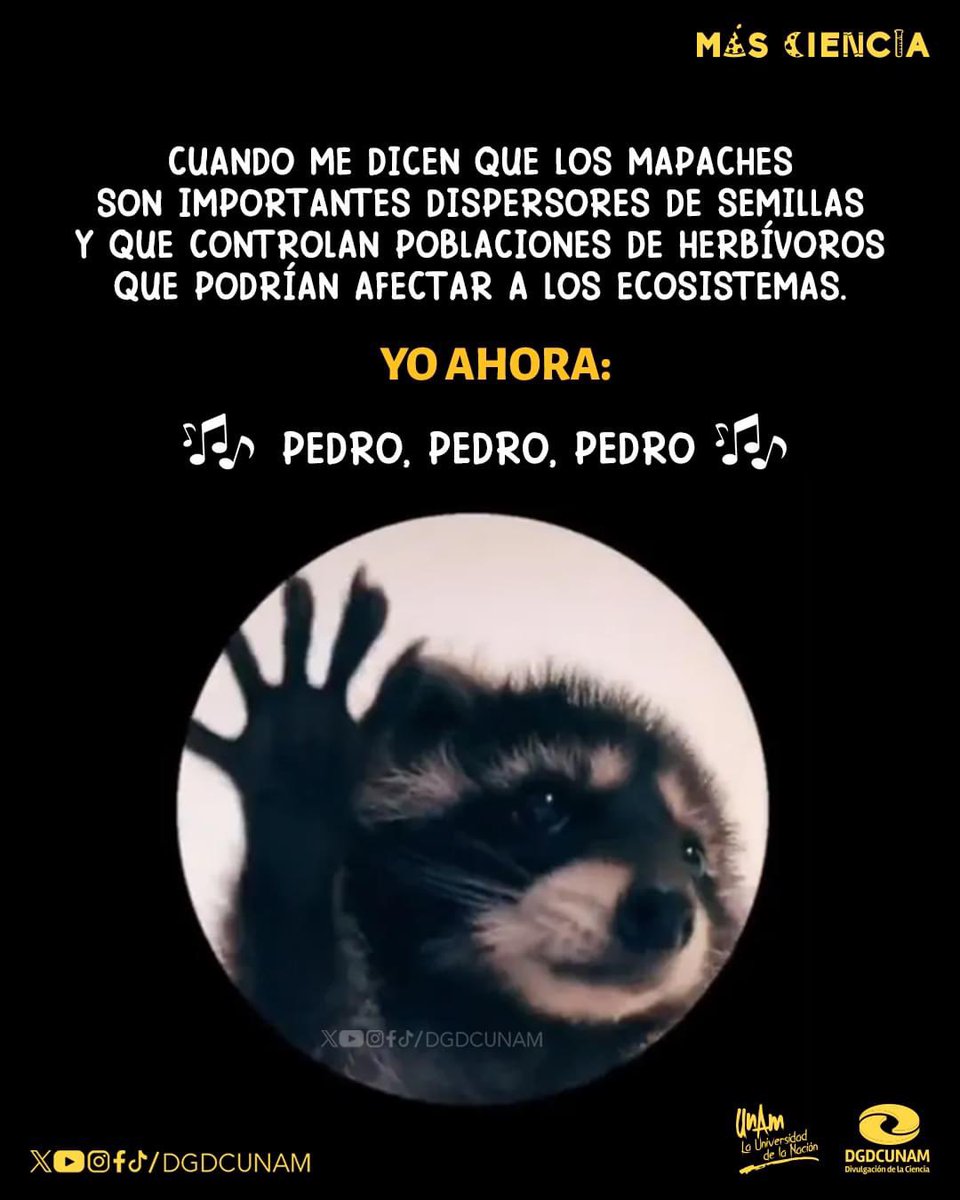 Divulgación de la Ciencia, UNAM tweet media