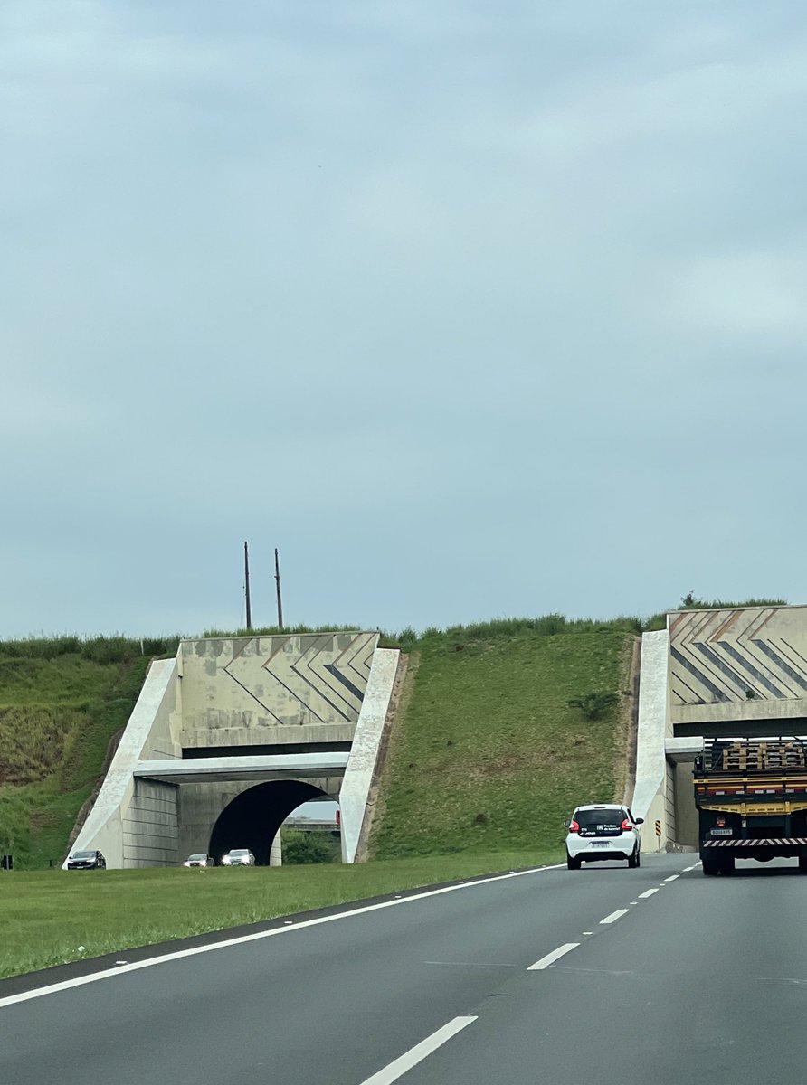 leogualberto's tweet photo. Sempre que vou a Campinas tenho vontade de jogar o carro no canteiro e subir esse gramado só por diversão mesmo https://t.co/DzqxBxn0dm