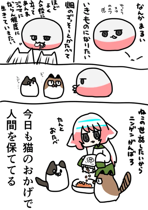 猫は救い 