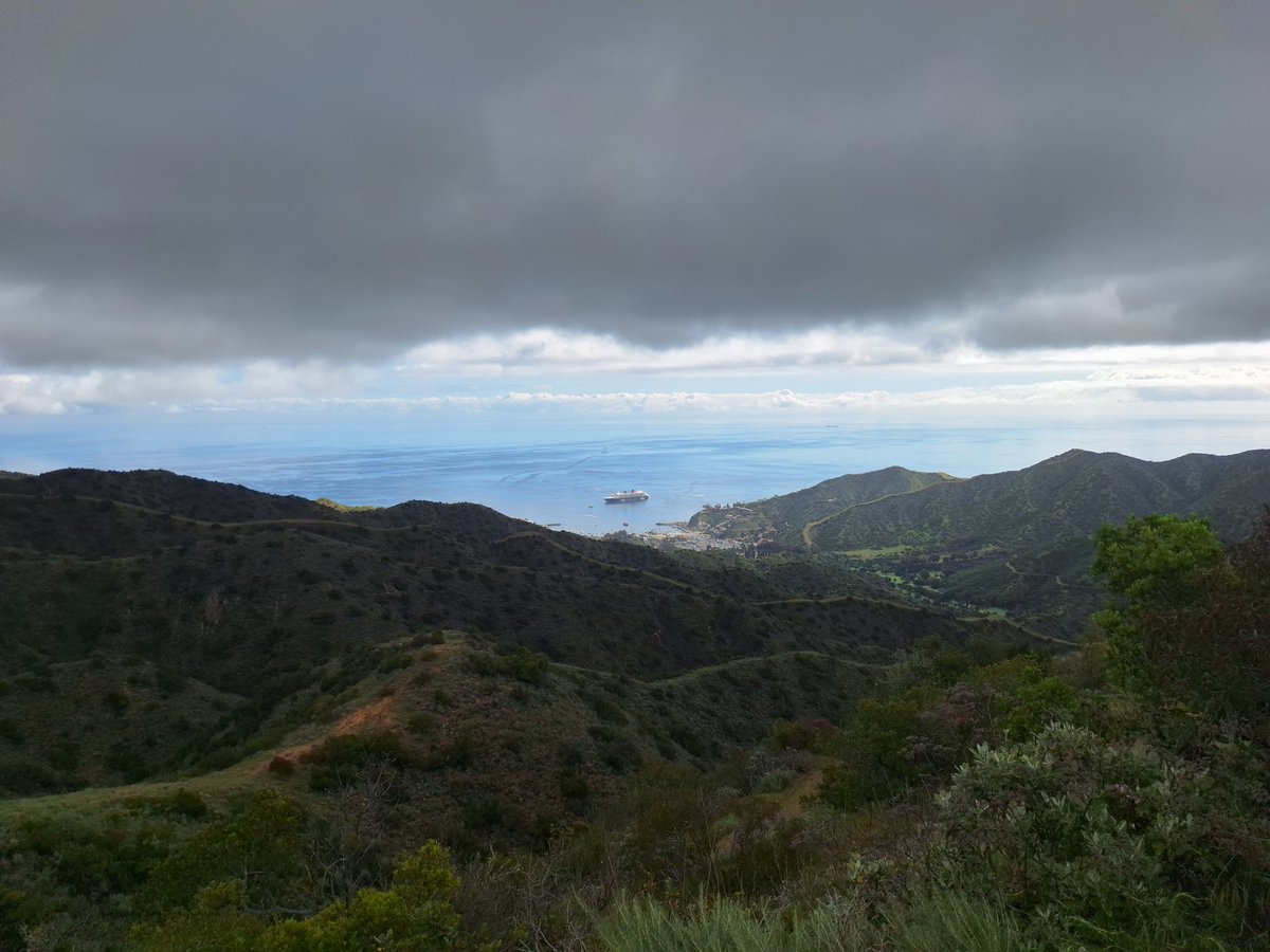 Sehrten1's tweet photo. I hiked the Trans-Catalina Trail this week from Avalon to Two Harbors. It was easily the hardest hike I've ever done. The total distance over a day and a half was about 25 miles through pretty rough terrain. https://t.co/2INOJtMFzI