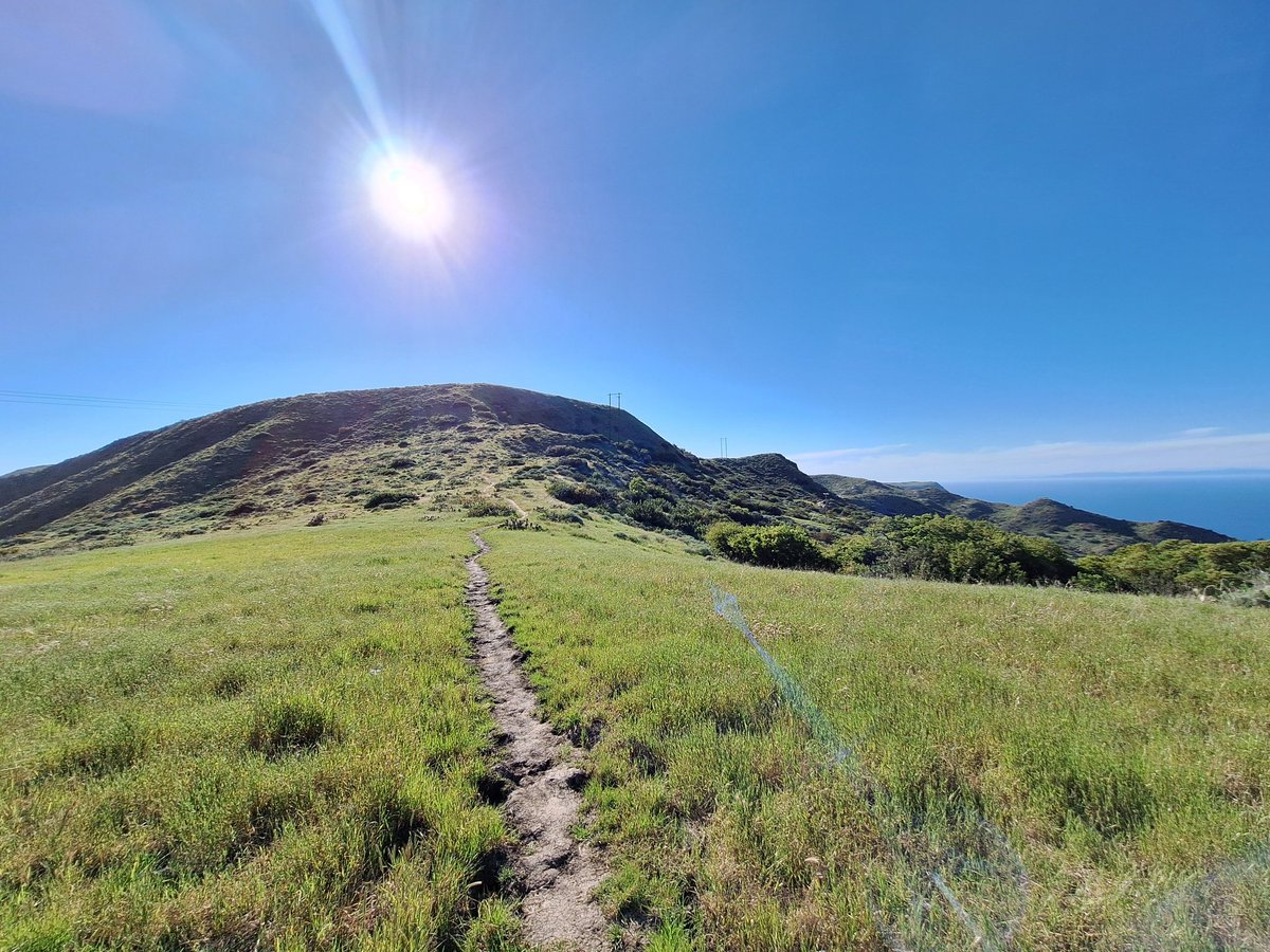 Sehrten1's tweet photo. I hiked the Trans-Catalina Trail this week from Avalon to Two Harbors. It was easily the hardest hike I've ever done. The total distance over a day and a half was about 25 miles through pretty rough terrain. https://t.co/2INOJtMFzI