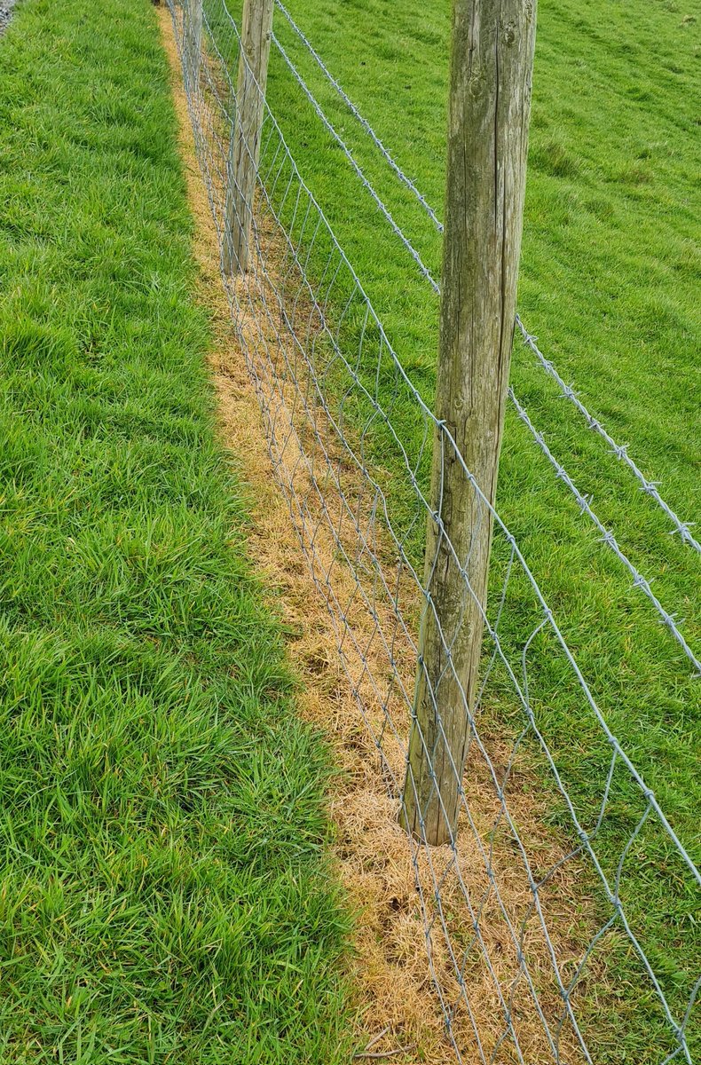 Some people don't deserve to own land. Hedges ripped out, replaced with fences. Fences sprayed with weedkiller, hundreds of round bales worth of plastic abandoned. Yet no laws impinged on or broken.