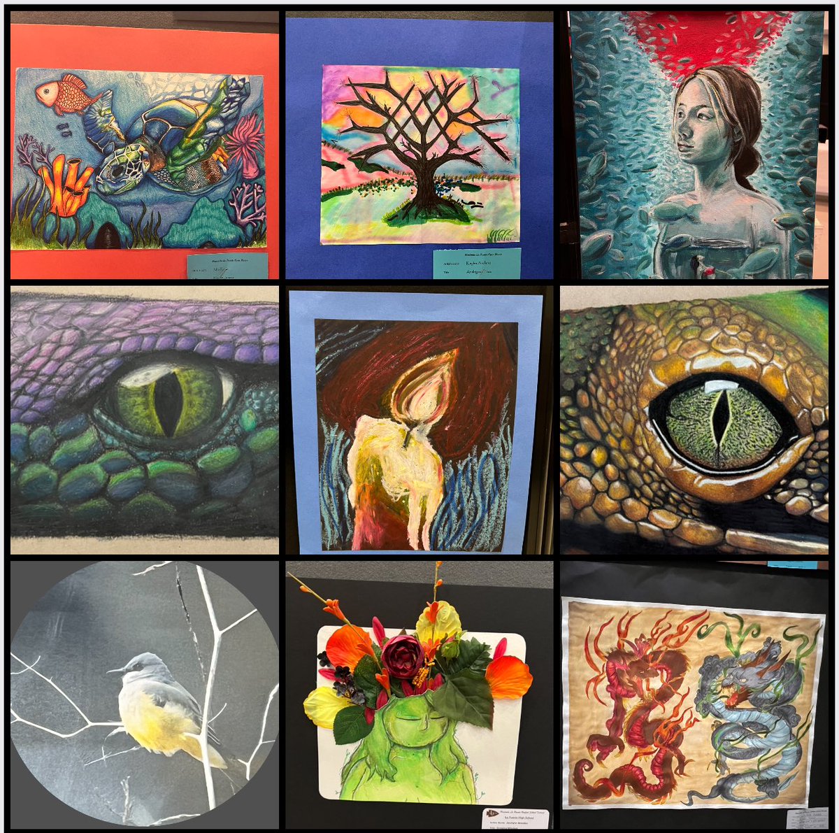 Dr. Helene Cunningham tweet media