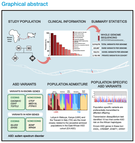 Unraveling the genetic underpinnings of ASD in an East African familial cohort by @IslamOguzTuncay and colleagues. Publication in @CellGenomics 'detected rare variants in known and in new candidate autism genes' 👍 #Autism #Diversity #Migration (1/3) ncbi.nlm.nih.gov/pmc/articles/P…