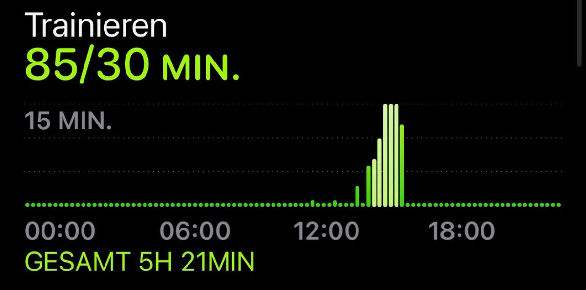 I usually find Apples UIs pretty intuitive. Not the Fitness app one. Can anybody point me as to what the 85/30 mean and the little gray 15 MIN.? And I also don't understand, what the Total (Gesamt in this German screenshot) means? Your help is greatly appreciated. #apple