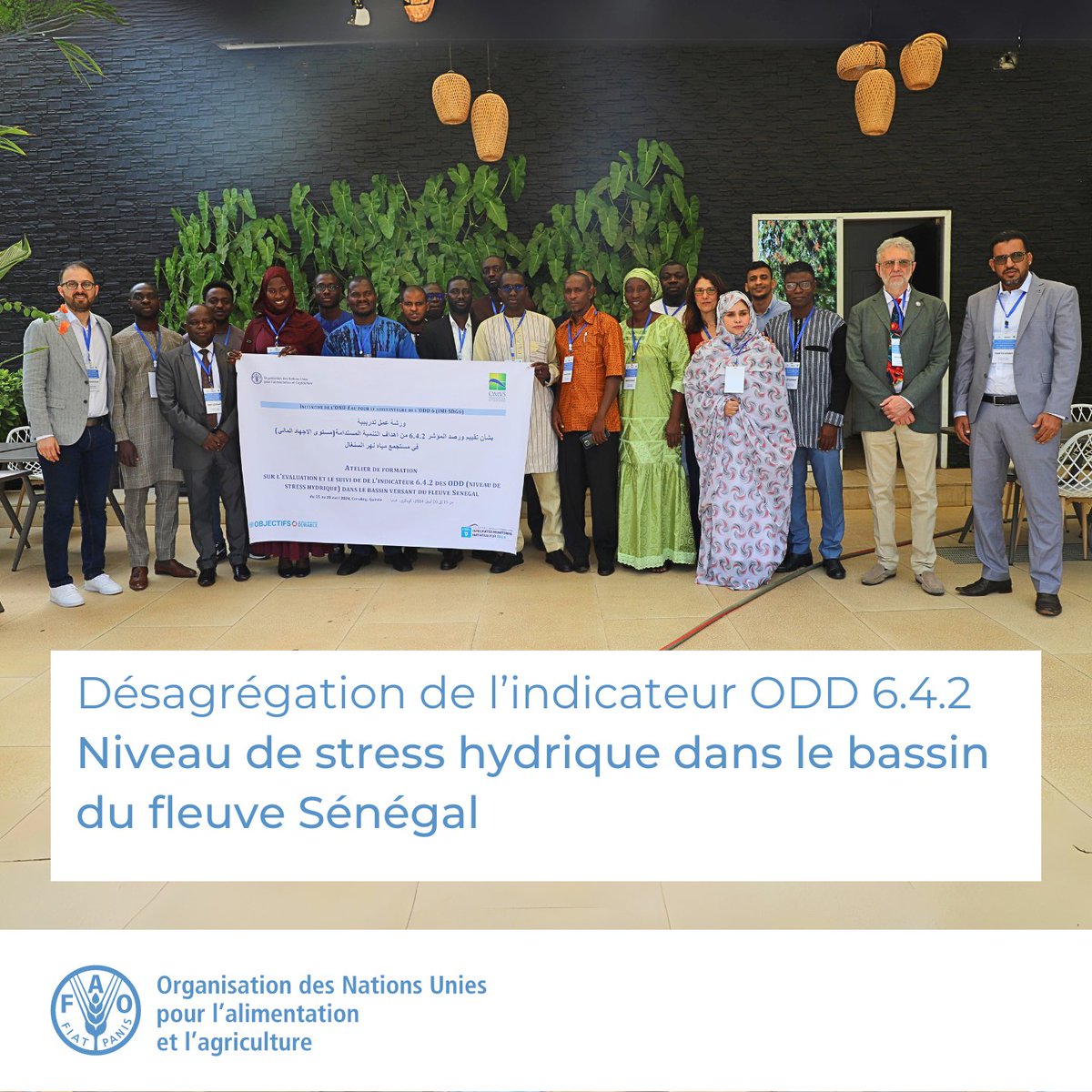 Des experts de Guinée 🇬🇳, du Mali 🇲🇱, de Mauritanie 🇲🇷 et du Sénégal 🇸🇳 apprennent à utiliser le nouveau plugin WEAP développé par la @FAO et le @SEIresearch afin d'évaluer le niveau de stress hydrique dans le bassin du fleuve Sénégal. 👉tinyurl.com/6j3xsj3x #ODD6 #IMISDG6